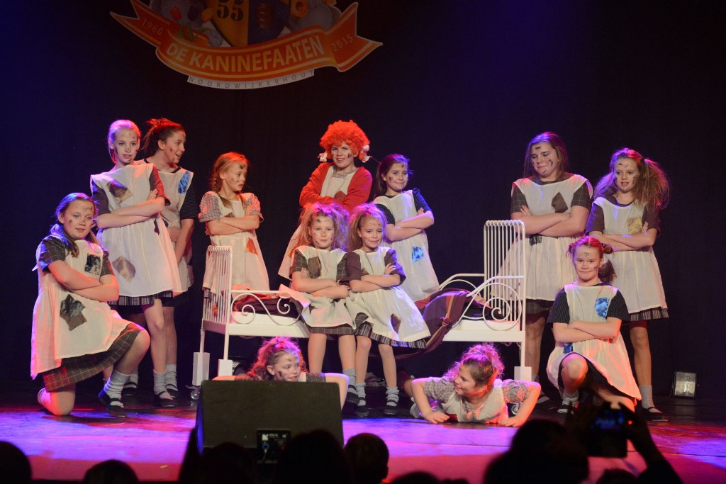 ../Images/Dansmarieke festival 2015 408.jpg